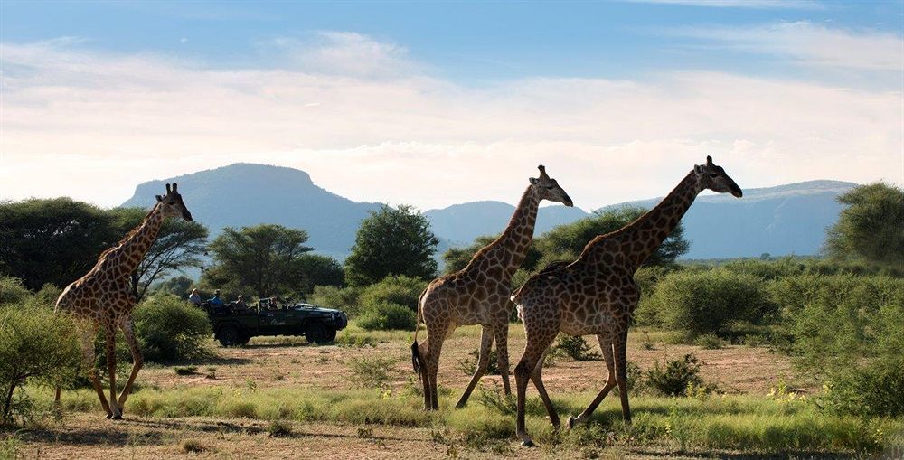 Marataba Safari Lodge Hartbeestfontein Exterior foto